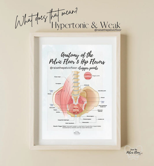 Hypertonic & Weak Pelvic Floor?