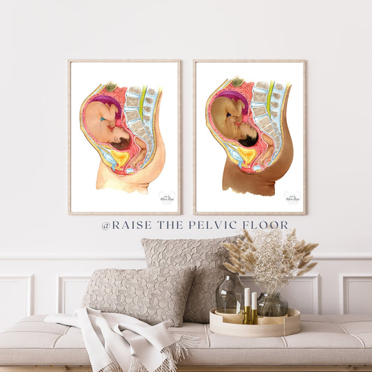Pelvic Health Art Inclusivity Importance in Today's World