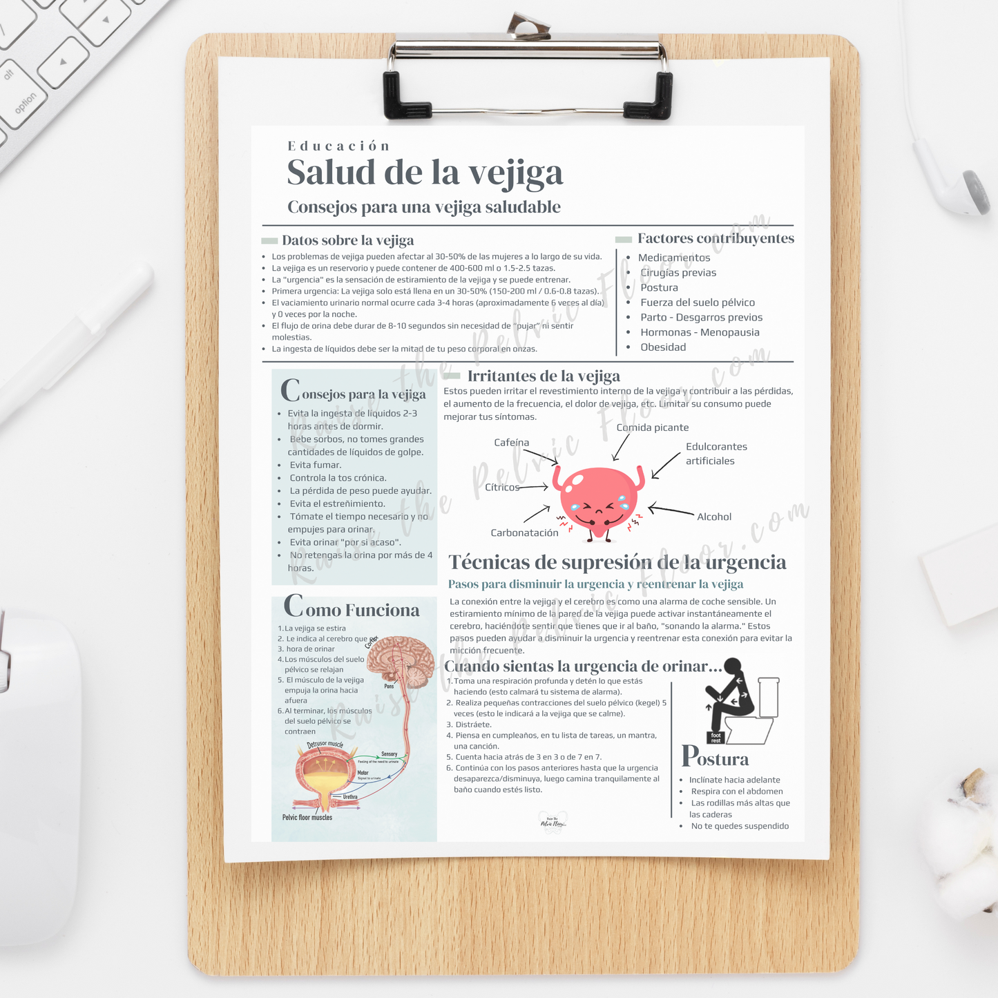 Spanish Bladder Health Patient Education Handout | Bladder Irritants, Toileting Posture, Urge Suppression Techniques translated to Spanish for Pelvic Floor Therapy Handout