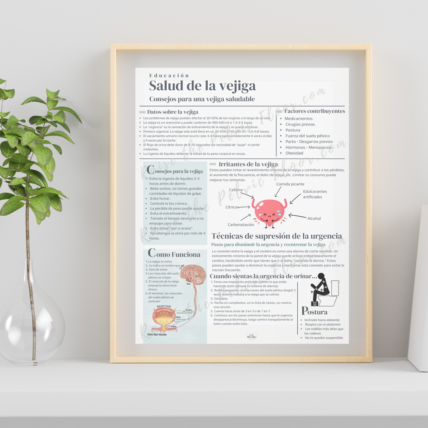 Spanish Bladder Health Patient Education Handout | Bladder Irritants, Toileting Posture, Urge Suppression Techniques translated to Spanish for Pelvic Floor Therapy Handout