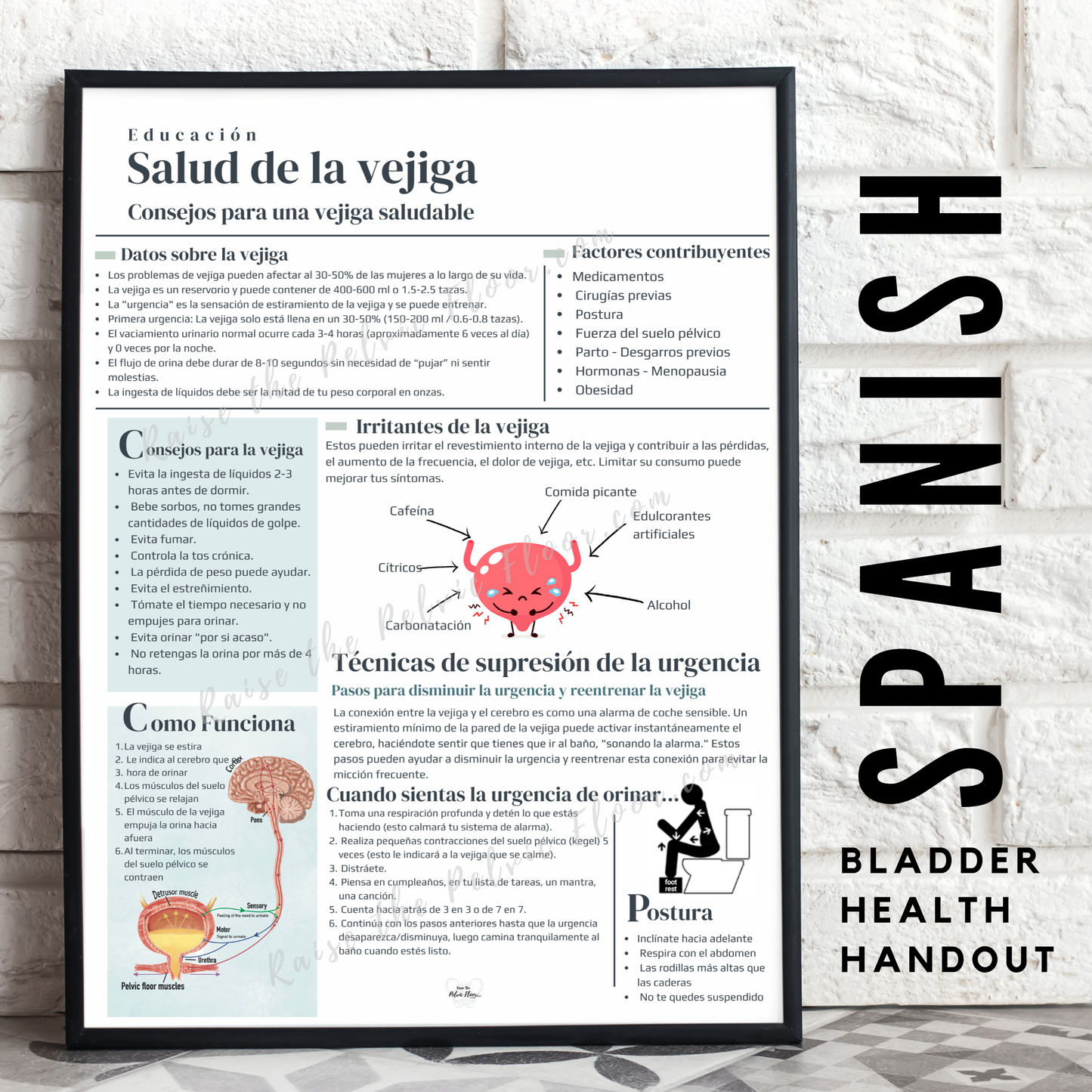 Spanish Bladder Health Patient Education Handout | Bladder Irritants, Toileting Posture, Urge Suppression Techniques translated to Spanish for Pelvic Floor Therapy Handout