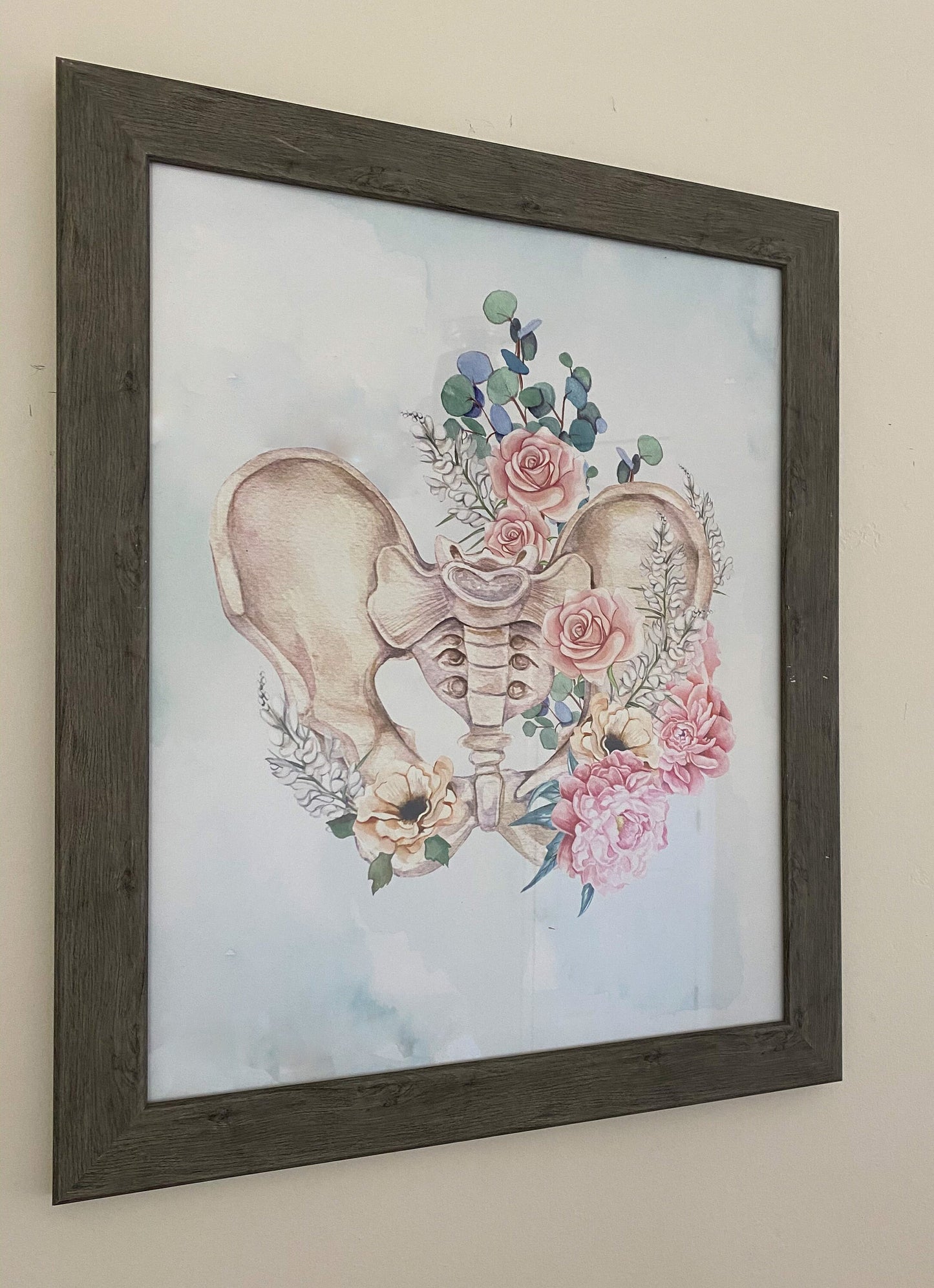 Pelvis Anatomy Peony/Eucalyptus Art