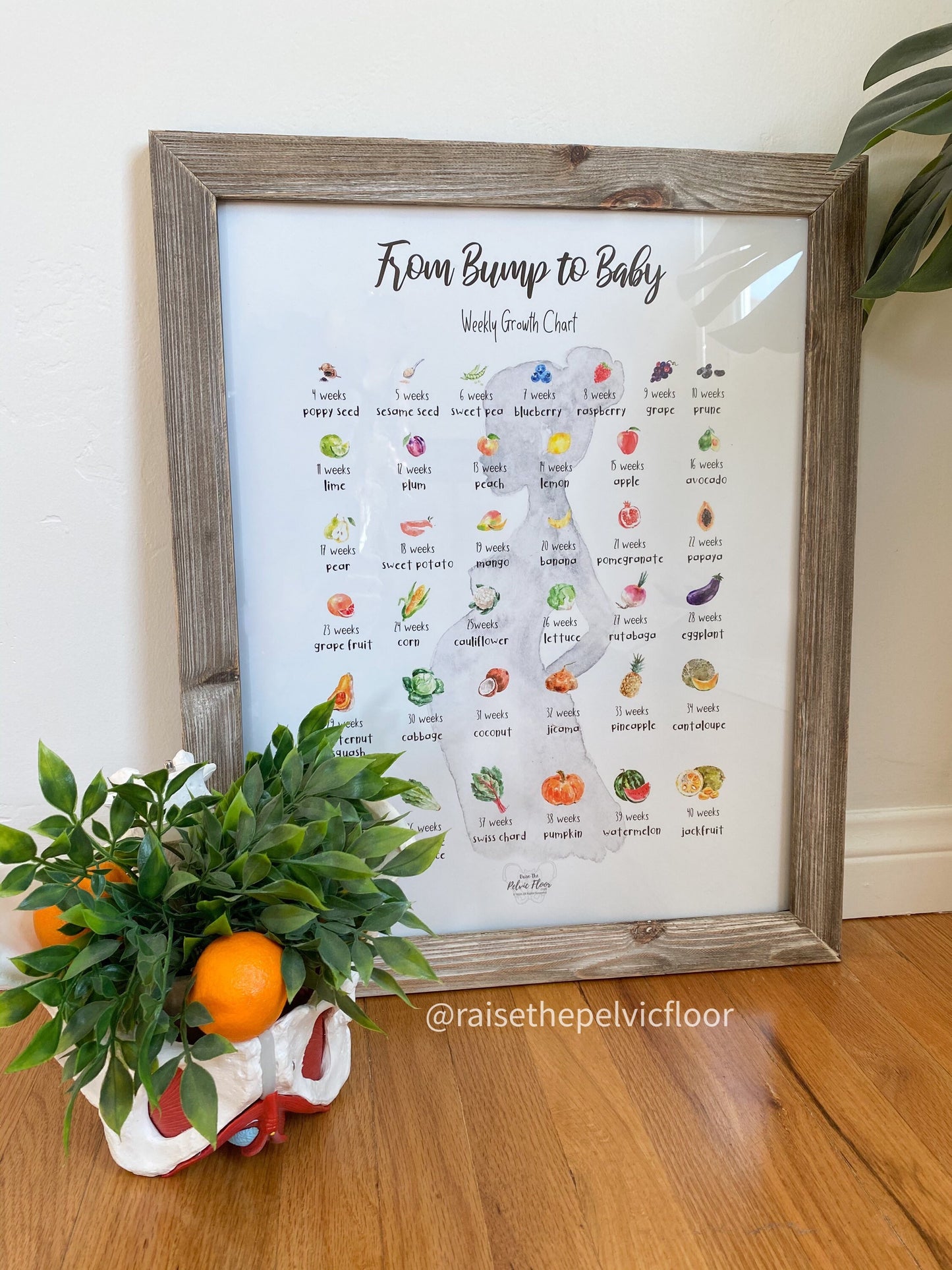 Bump to Baby- Pregnancy Art Weekly Fruit Growth Chart | Nursery Wall Poster Print