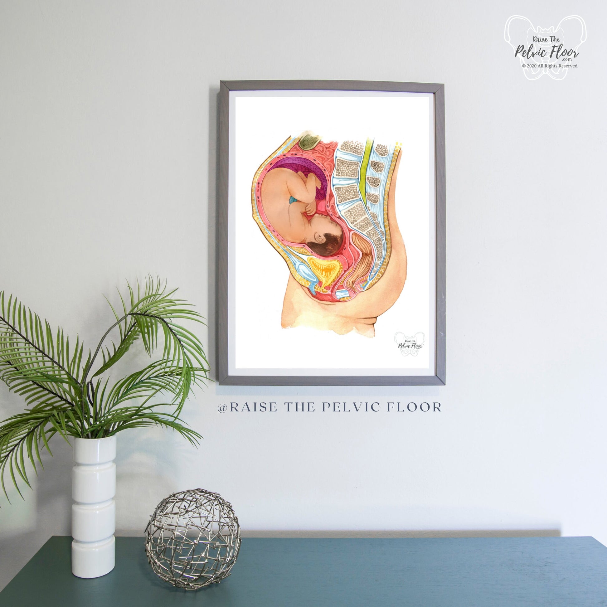 Pregnant Fetus In Womb Art Medical Office Decor | Pelvic Floor, Lumbar spine, Baby, Bladder | Physical Therapist, OBGYN, RN Doula, Midwife