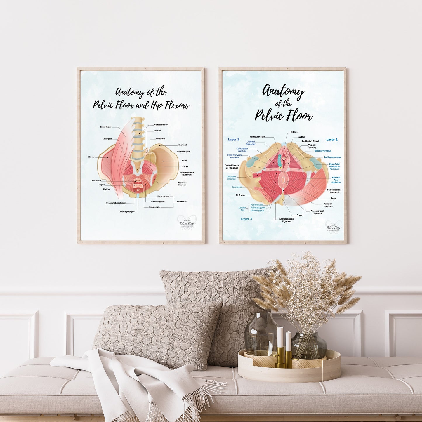 Anatomy of Pelvic Floor Muscle Art Poster Print | Kegel Muscle, Levator Ani, Obturator, Piriformis, Perineal Pouch, Pelvic Diaphragm Layers