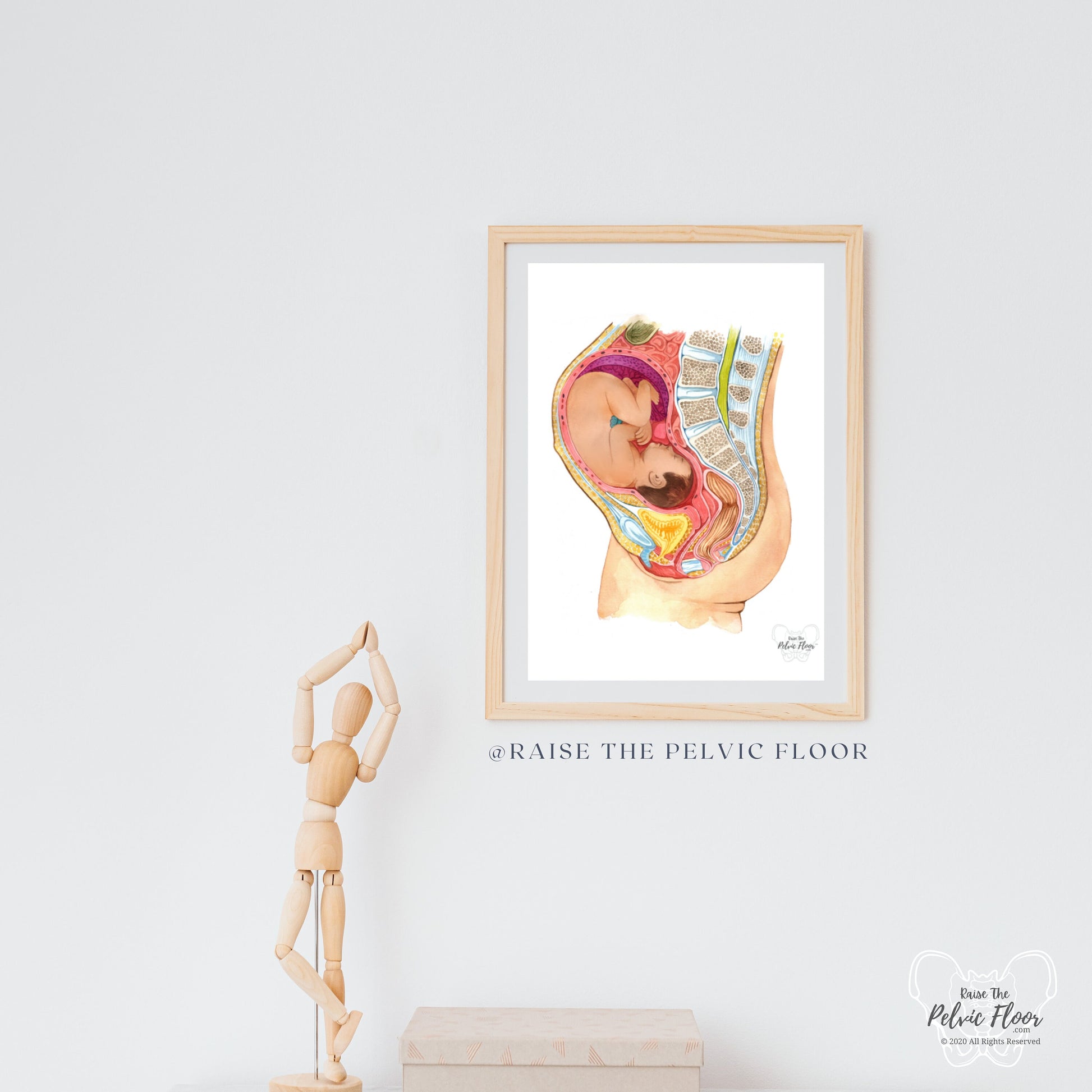 Pregnant Fetus In Womb Art Medical Office Decor | Pelvic Floor, Lumbar spine, Baby, Bladder | Physical Therapist, OBGYN, RN Doula, Midwife