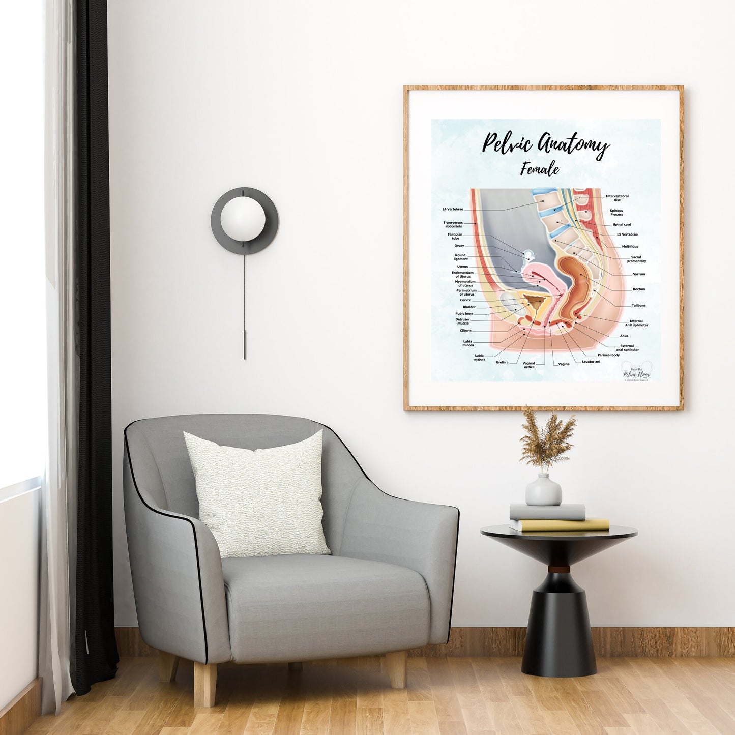 Female Pelvic Anatomy Poster Art | Sagittal/ Side view | Vagina, Uterus, Rectum, Pelvic Floor Anatomy