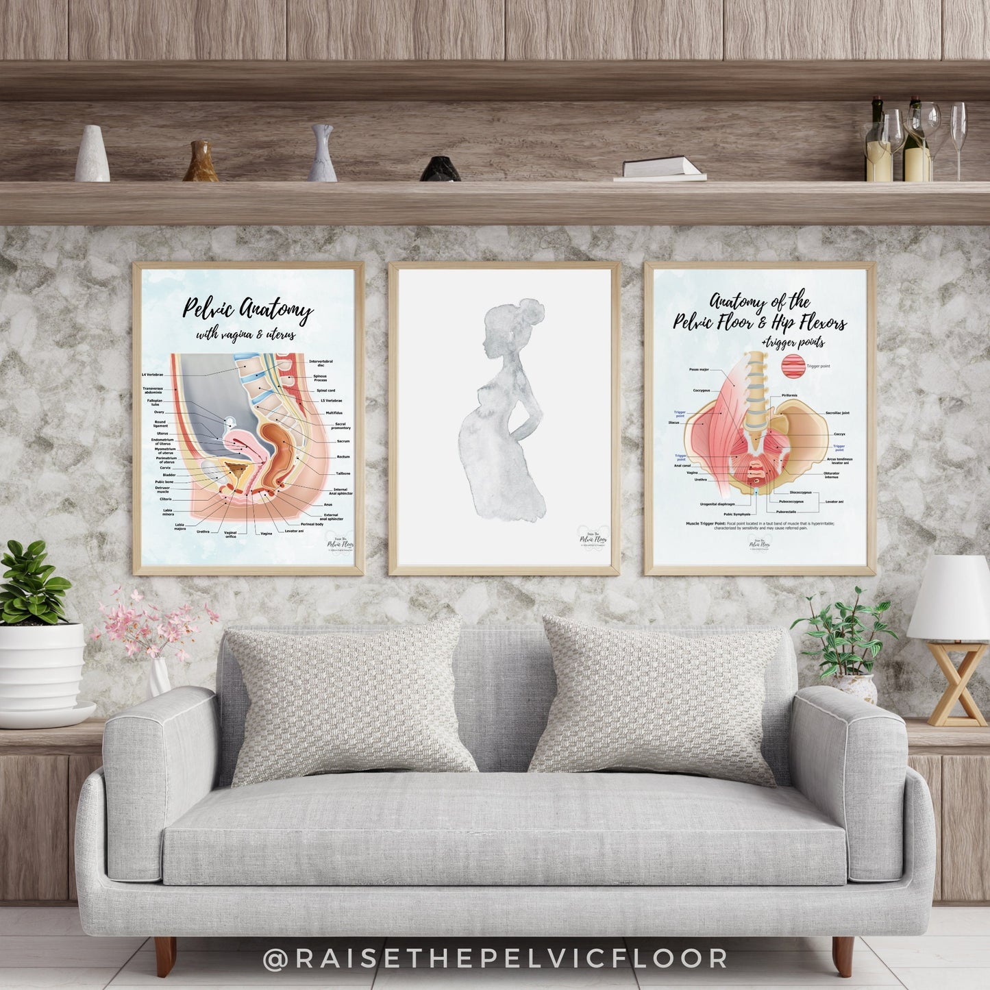 Gender Neutral Pelvic Cavity Anatomy Poster Art | Sagittal Side View | Pelvic Floor, Uterus, Ovary, Bladder, Rectum, Vertebrae Art