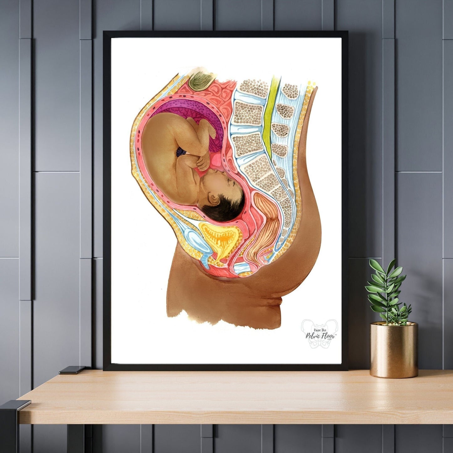 Dark Skin Pregnancy Art Medical Office Decor | Cultural diversity| Pelvic Floor, Baby | Physical Therapist, OBGYN, RN Doula, Midwife
