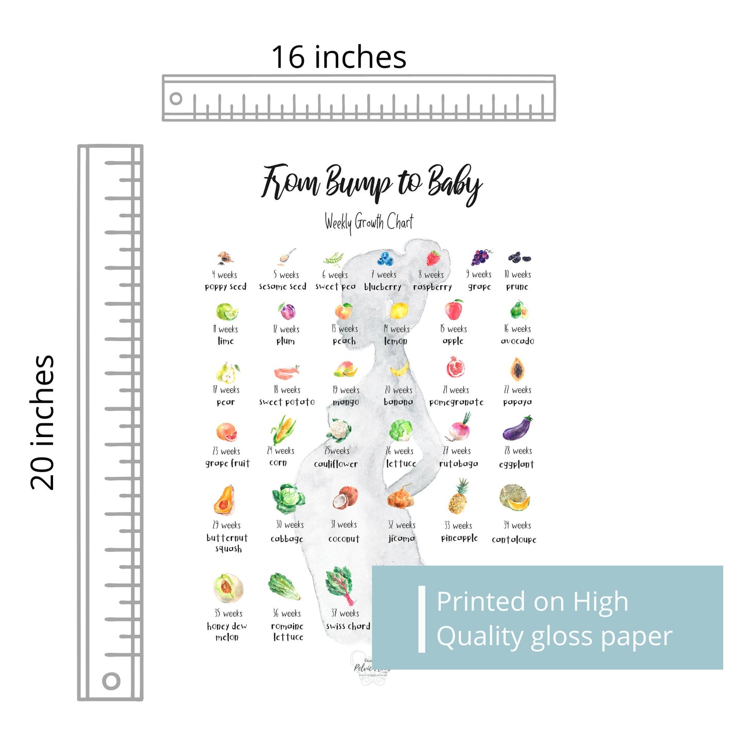 Bump to Baby- Pregnancy Art Weekly Fruit Growth Chart | Nursery Wall Poster Print