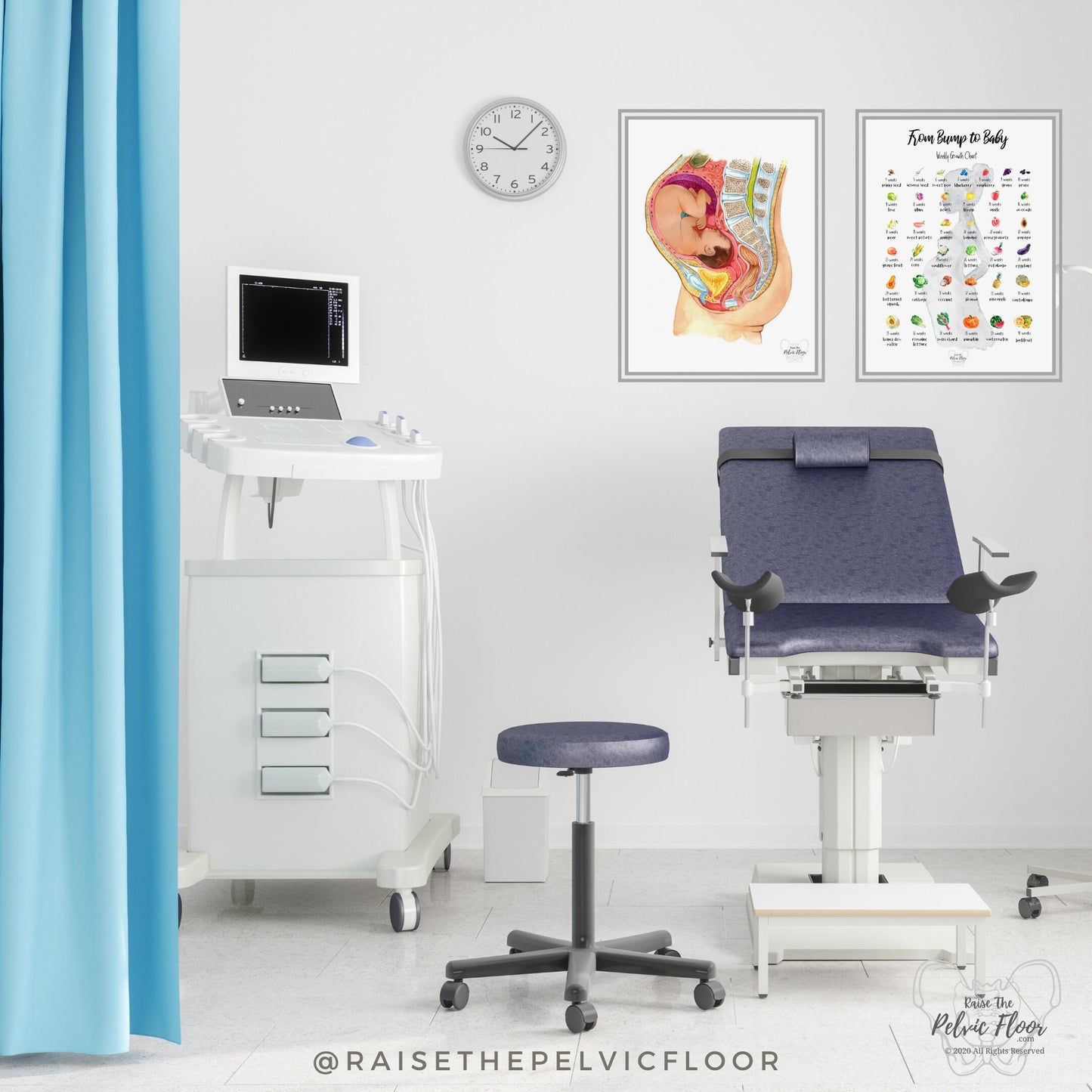 Pregnant Fetus In Womb Art Medical Office Decor | Pelvic Floor, Lumbar spine, Baby, Bladder | Physical Therapist, OBGYN, RN Doula, Midwife