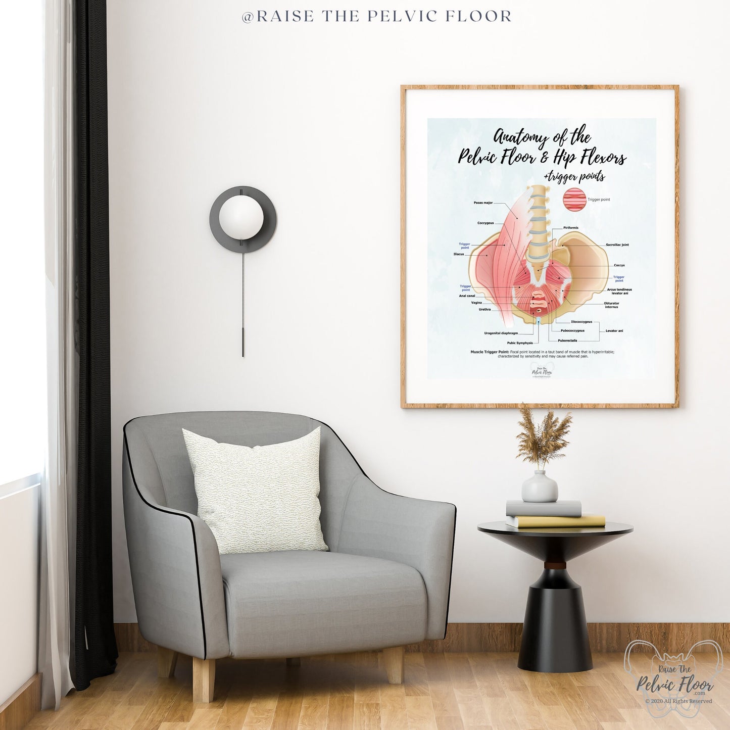 Anatomy of the Pelvic Floor and Hip Flexors + Trigger Points | Poster Art