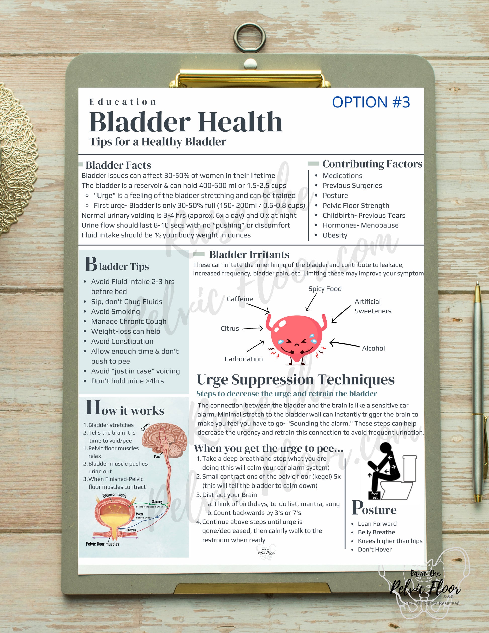 DIGITAL DOWNLOAD* Bladder Health Patient Education Handout | Bladder Irritants & Health 8.5 x11" Handout Minimalist | Pelvic Floor Health