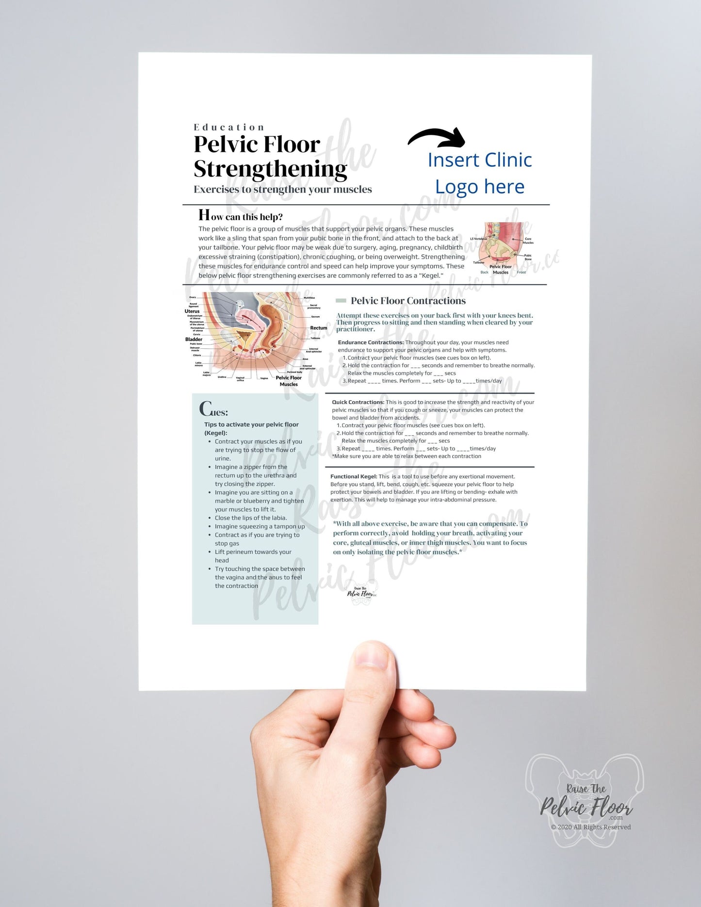 DIGITAL DOWNLOAD* Pelvic Floor Strength Exercise Patient Education Handout | Kegel Instructions 8.5 x11" Handout Info | Pelvic Floor Health