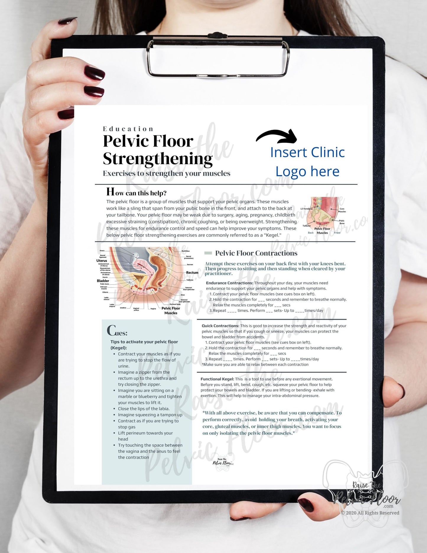 DIGITAL DOWNLOAD* Pelvic Floor Strength Exercise Patient Education Handout | Kegel Instructions 8.5 x11" Handout Info | Pelvic Floor Health