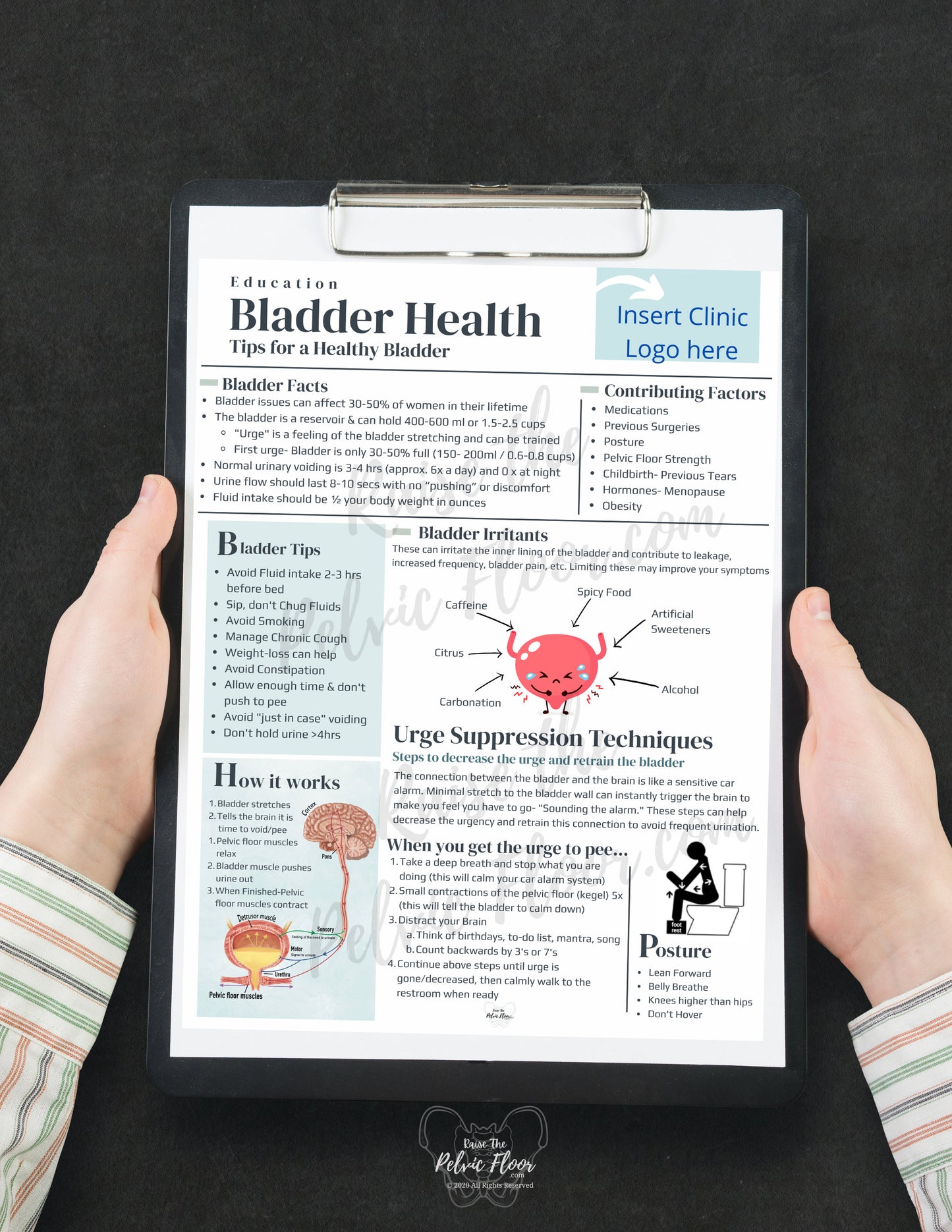 DIGITAL DOWNLOAD* Bladder Health Patient Education Handout | Bladder Irritants & Health 8.5 x11" Handout Minimalist | Pelvic Floor Health