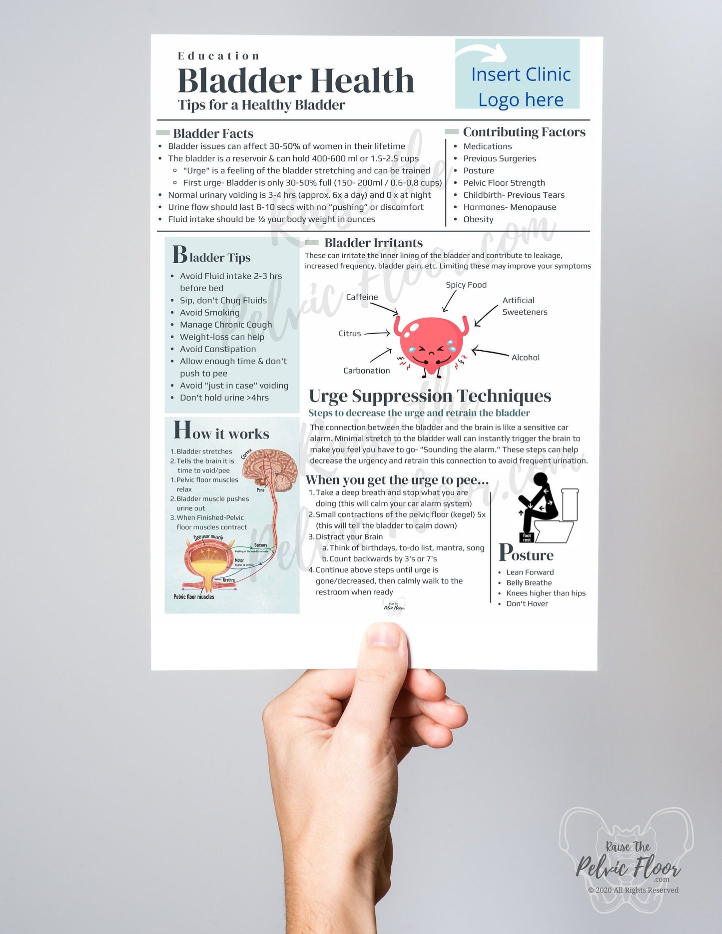 DIGITAL DOWNLOAD* Bladder Health Patient Education Handout | Bladder Irritants & Health 8.5 x11" Handout Minimalist | Pelvic Floor Health