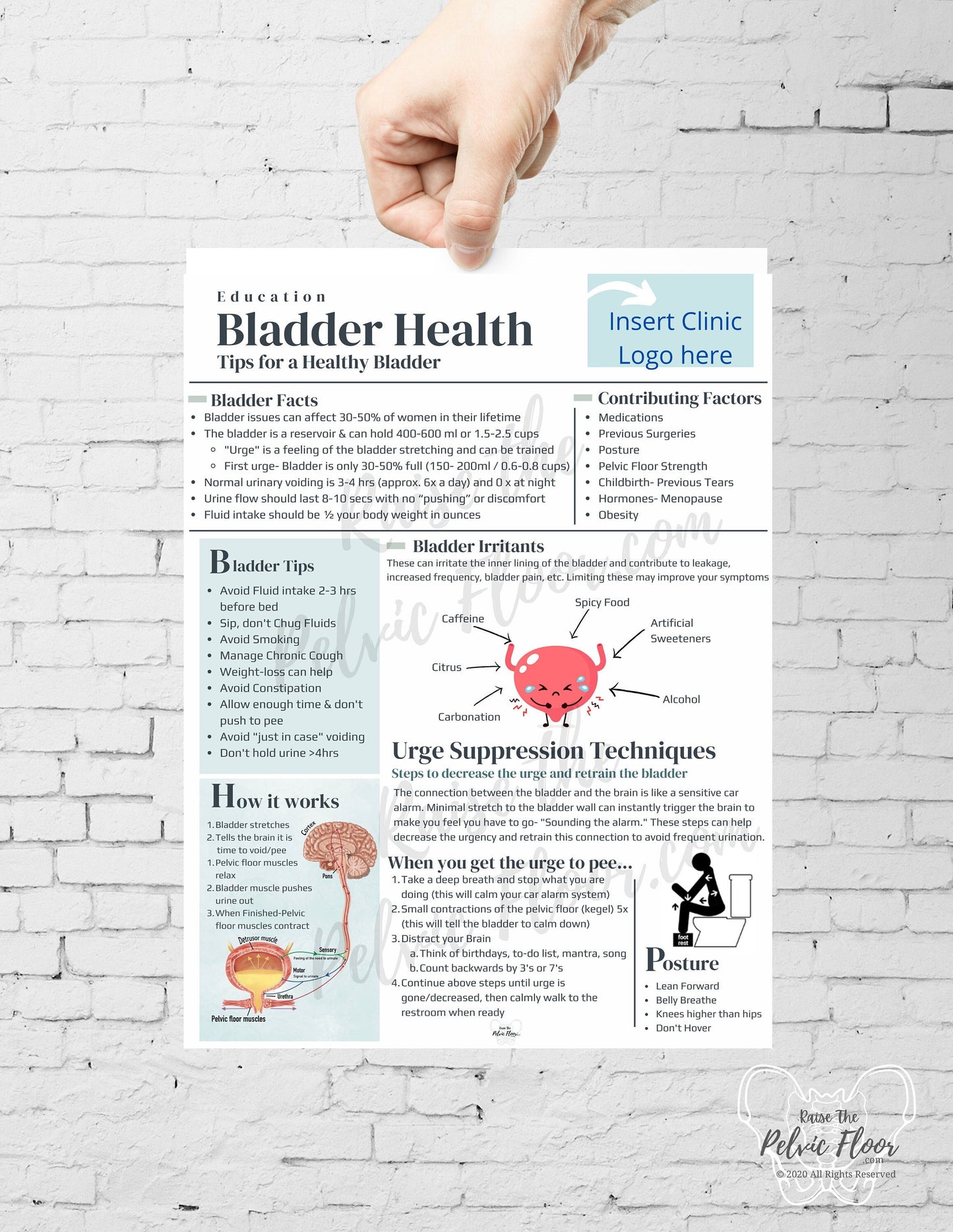 DIGITAL DOWNLOAD* Bladder Health Patient Education Handout | Bladder Irritants & Health 8.5 x11" Handout Minimalist | Pelvic Floor Health