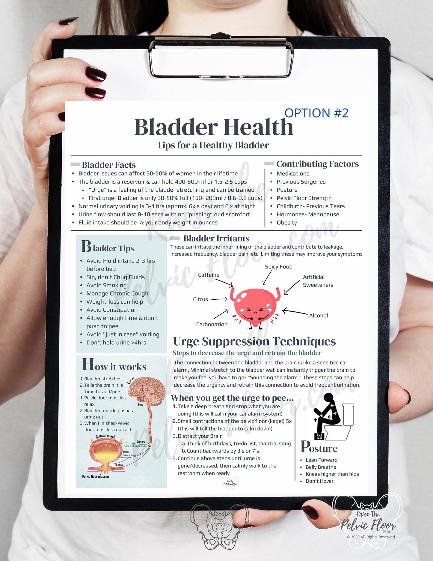 DIGITAL DOWNLOAD* Bladder Health Patient Education Handout | Bladder Irritants & Health 8.5 x11" Handout Minimalist | Pelvic Floor Health