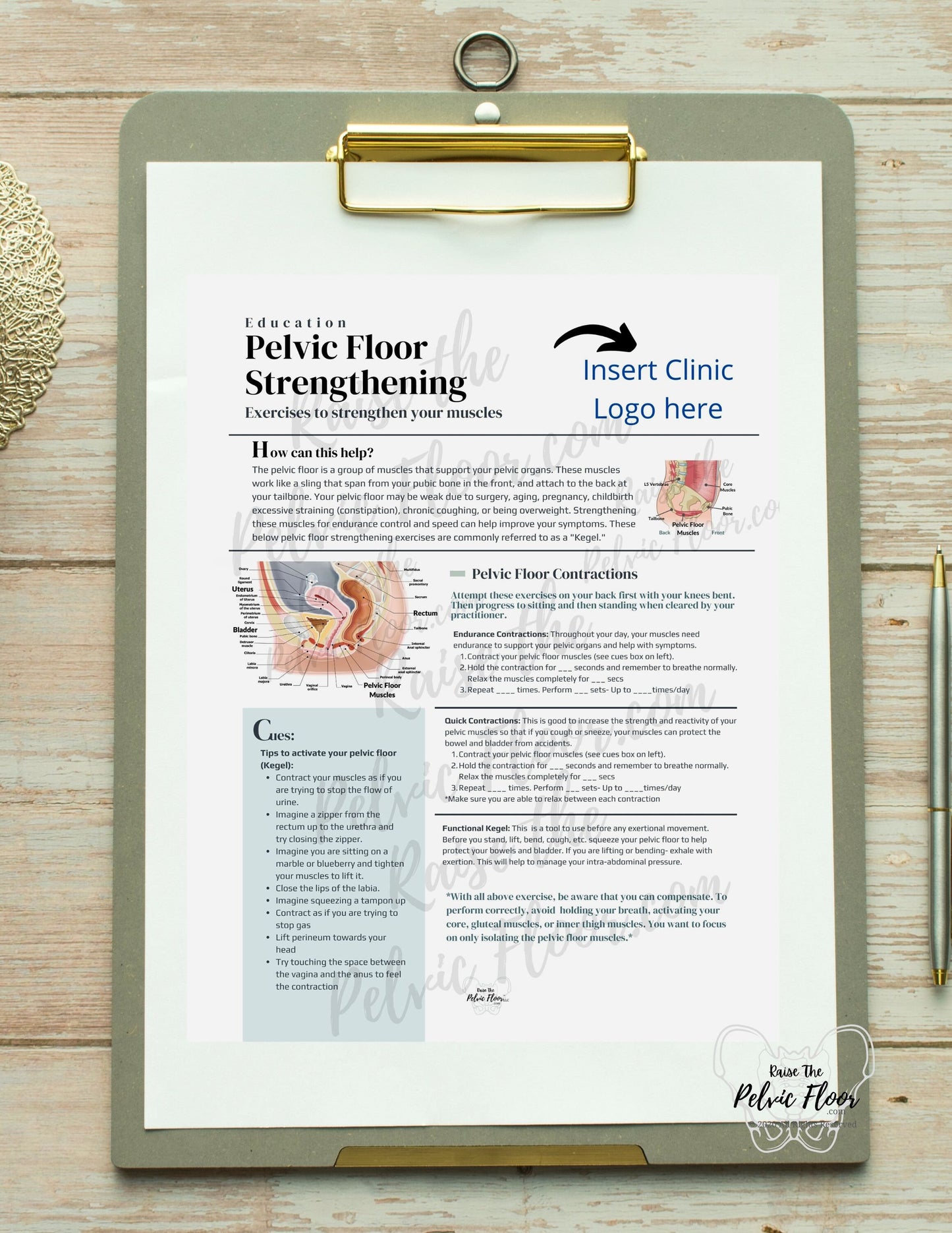 DIGITAL DOWNLOAD* Pelvic Floor Strength Exercise Patient Education Handout | Kegel Instructions 8.5 x11" Handout Info | Pelvic Floor Health