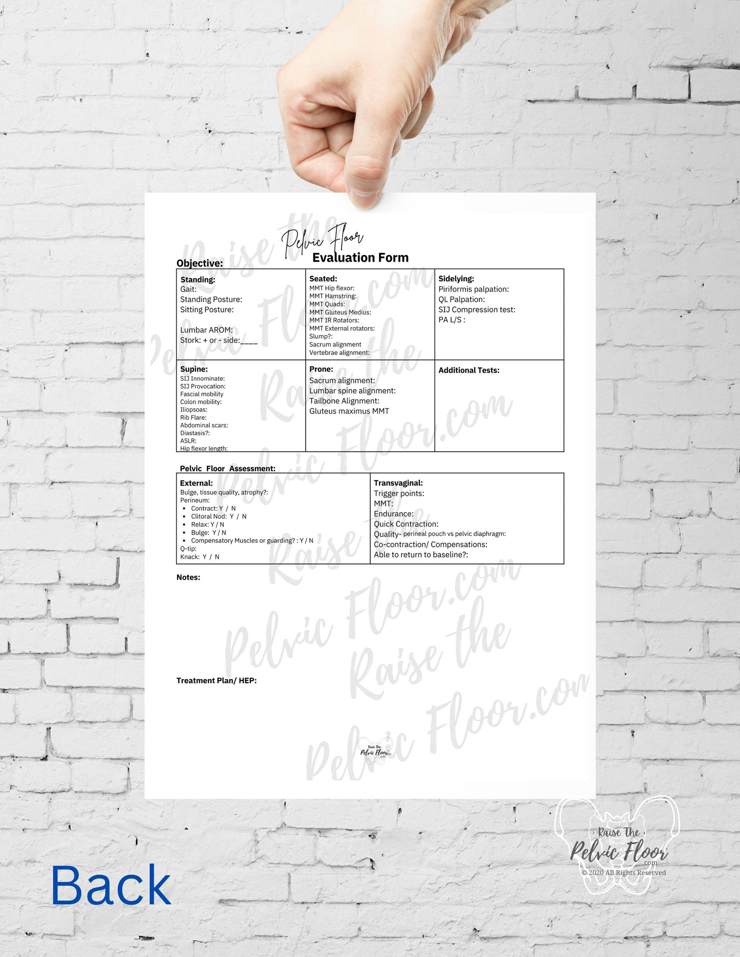 Pelvic Floor Evaluation Form Template | * DIGITAL DOWNLOAD*| Subjective & Objective Guide for Pelvic Health | Kegel Muscle, Pregnancy, Bowel