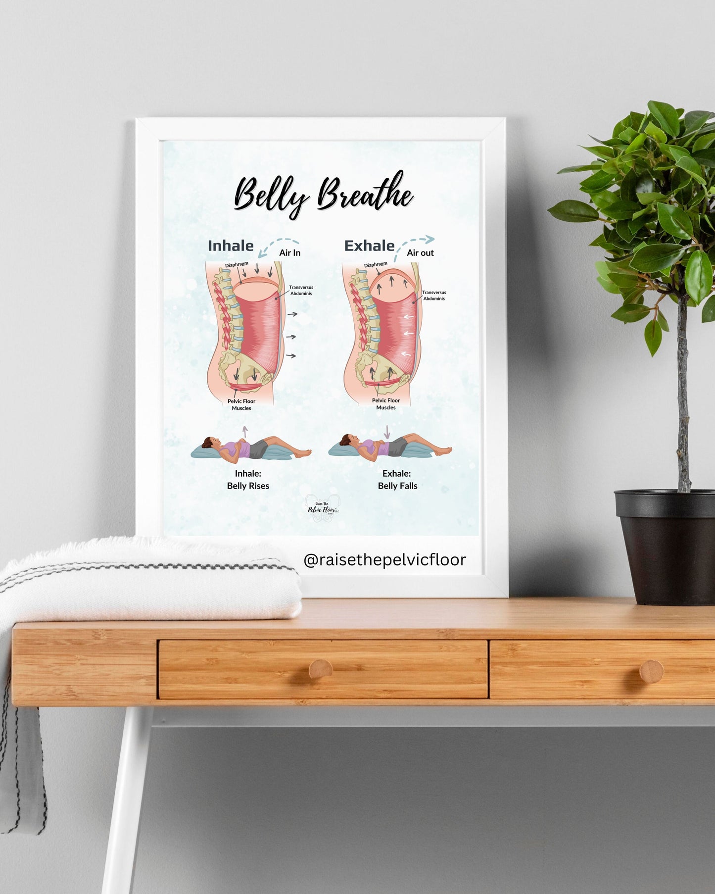 Belly Breathe Pathophysiology Inhale Exhale Education Poster | Pelvic Floor, Diaphragm, Breath, Belly Rise, Relax, Yoga, Meditation