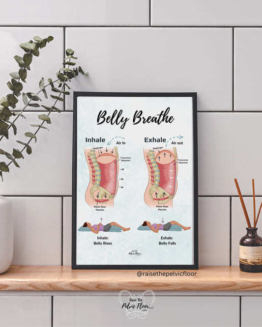 Belly Breathe Pathophysiology Inhale Exhale Education Poster | Pelvic Floor, Diaphragm, Breath, Belly Rise, Relax, Yoga, Meditation