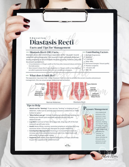 Diastasis Recti Patient Education Handout PDF Digital Download | Postpartum Core Muscles- Pelvic Floor Health Practitioner resource flyer