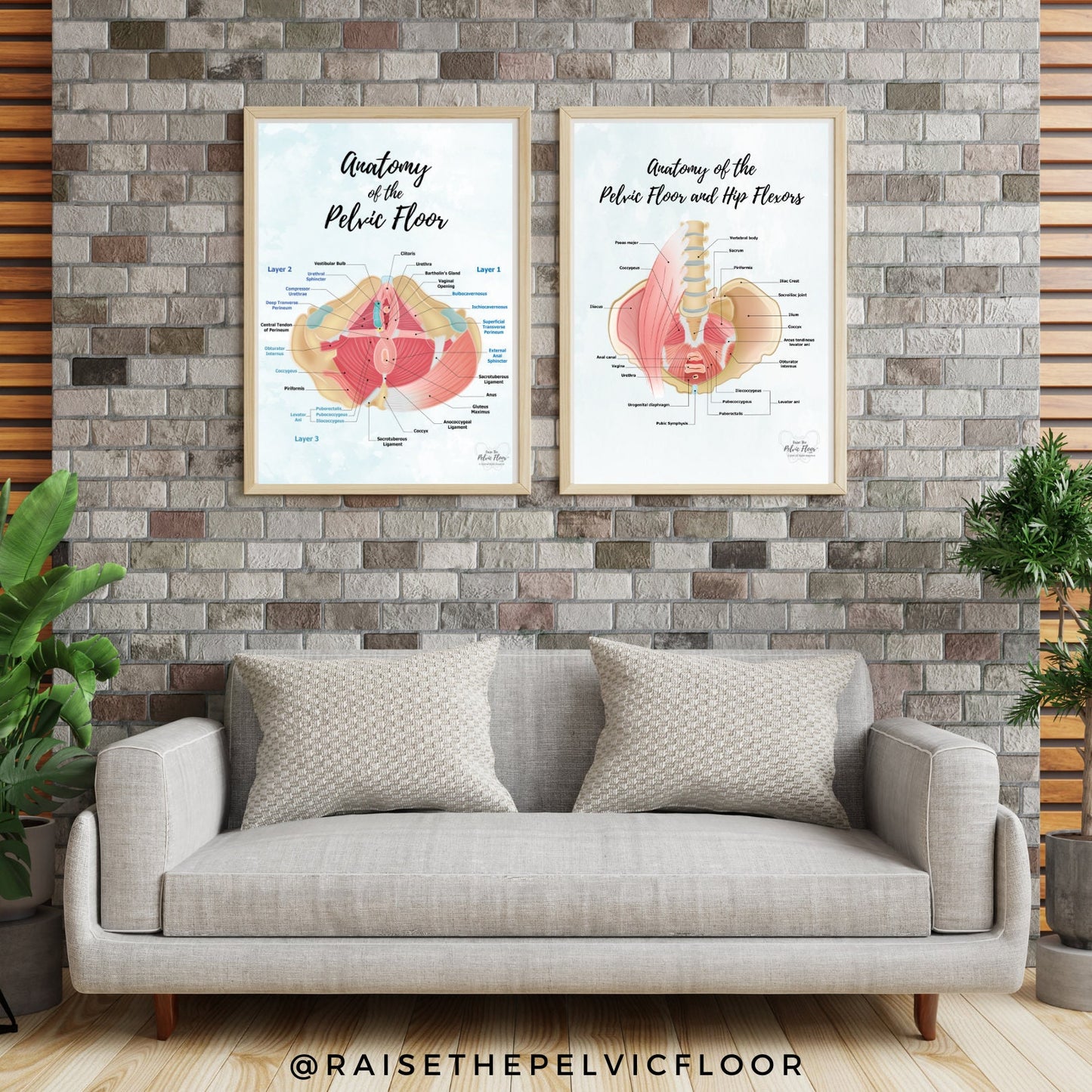 Set of 2- Pelvic Floor Muscle Anatomy and Hip Flexors Educational Medical Art Poster | Iliopsoas, Kegel, Levator Ani