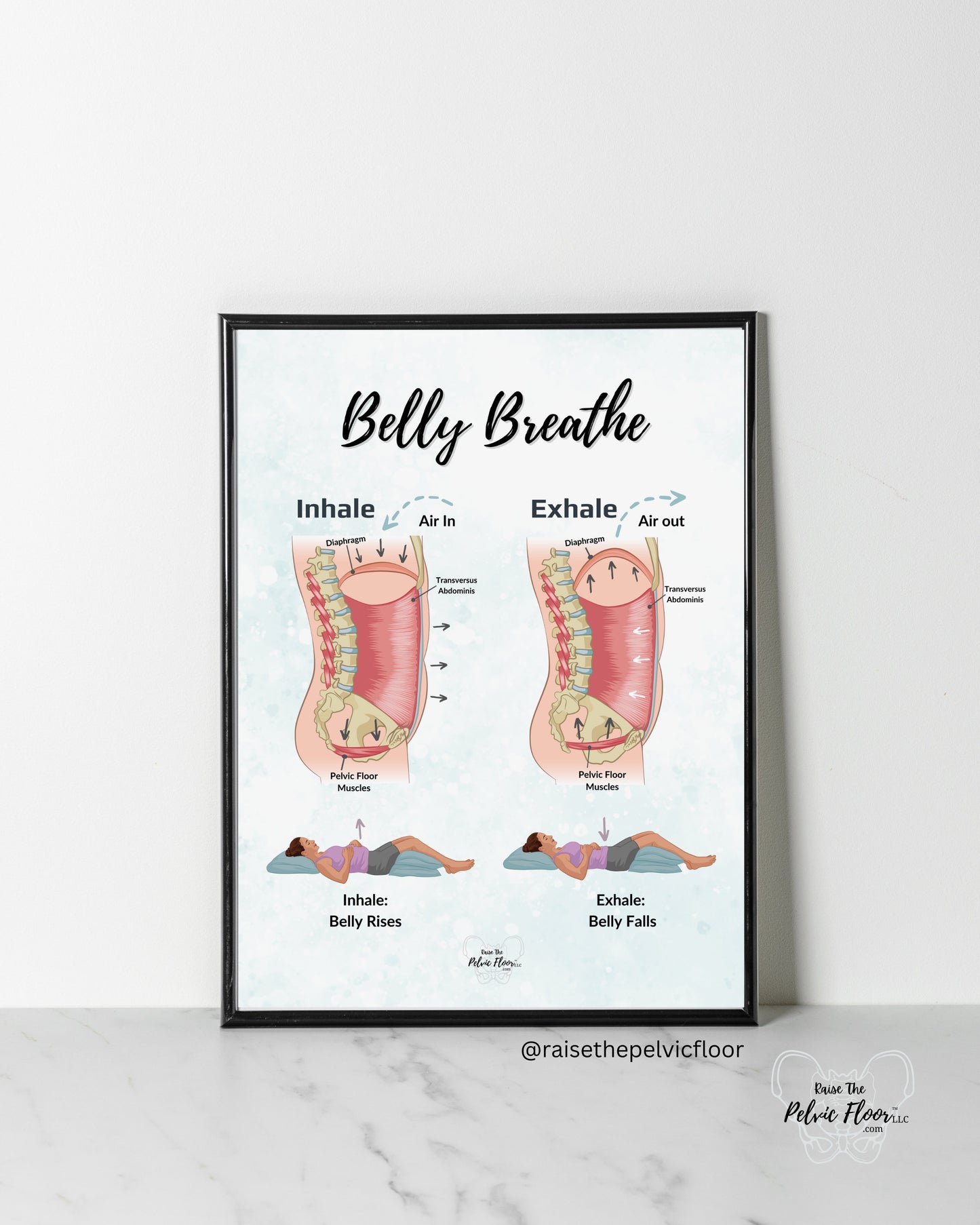 Belly Breathe Pathophysiology Inhale Exhale Education Poster | Pelvic Floor, Diaphragm, Breath, Belly Rise, Relax, Yoga, Meditation