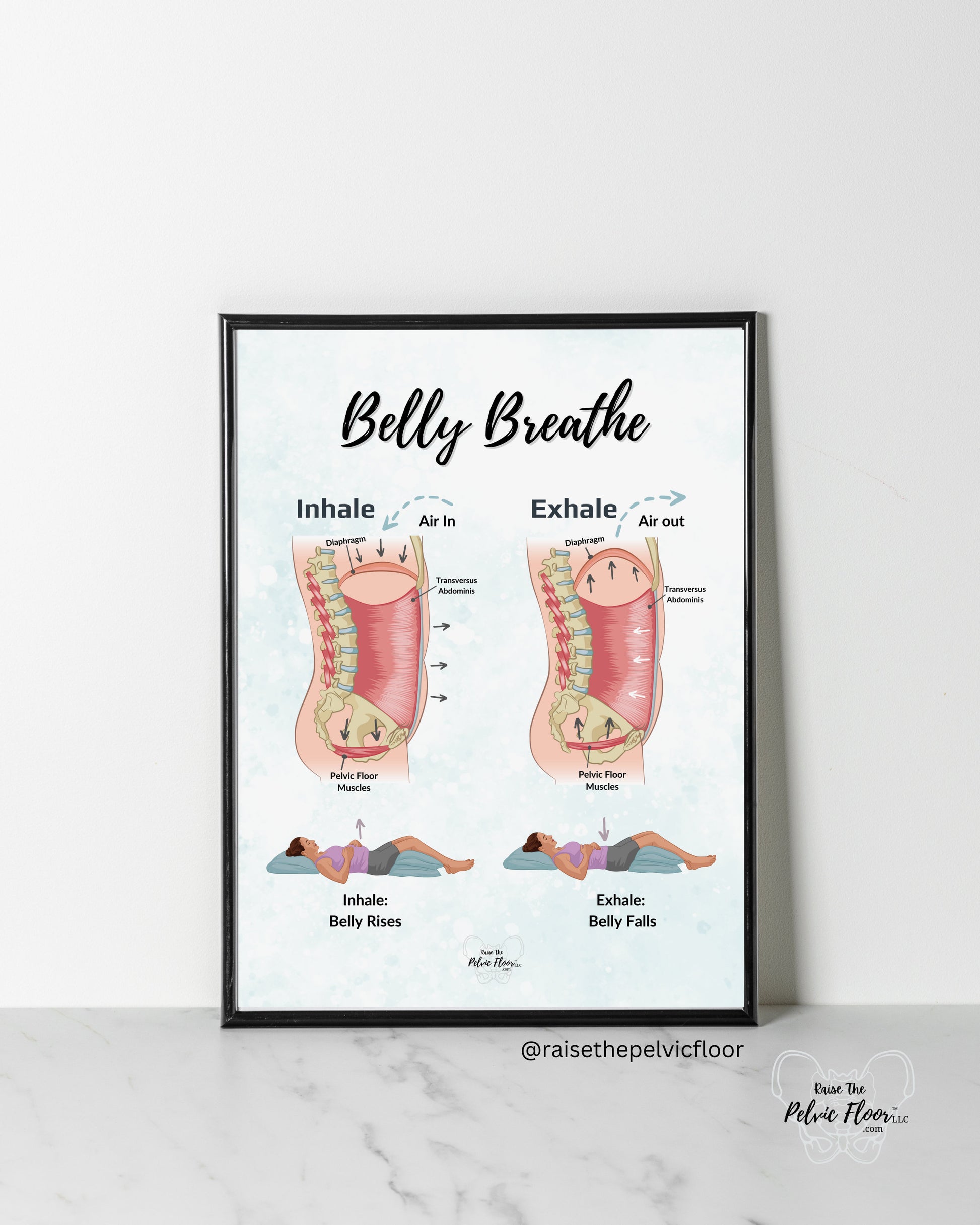 Belly Breathe Pathophysiology Inhale Exhale Education Poster | Pelvic Floor, Diaphragm, Breath, Belly Rise, Relax, Yoga, Meditation