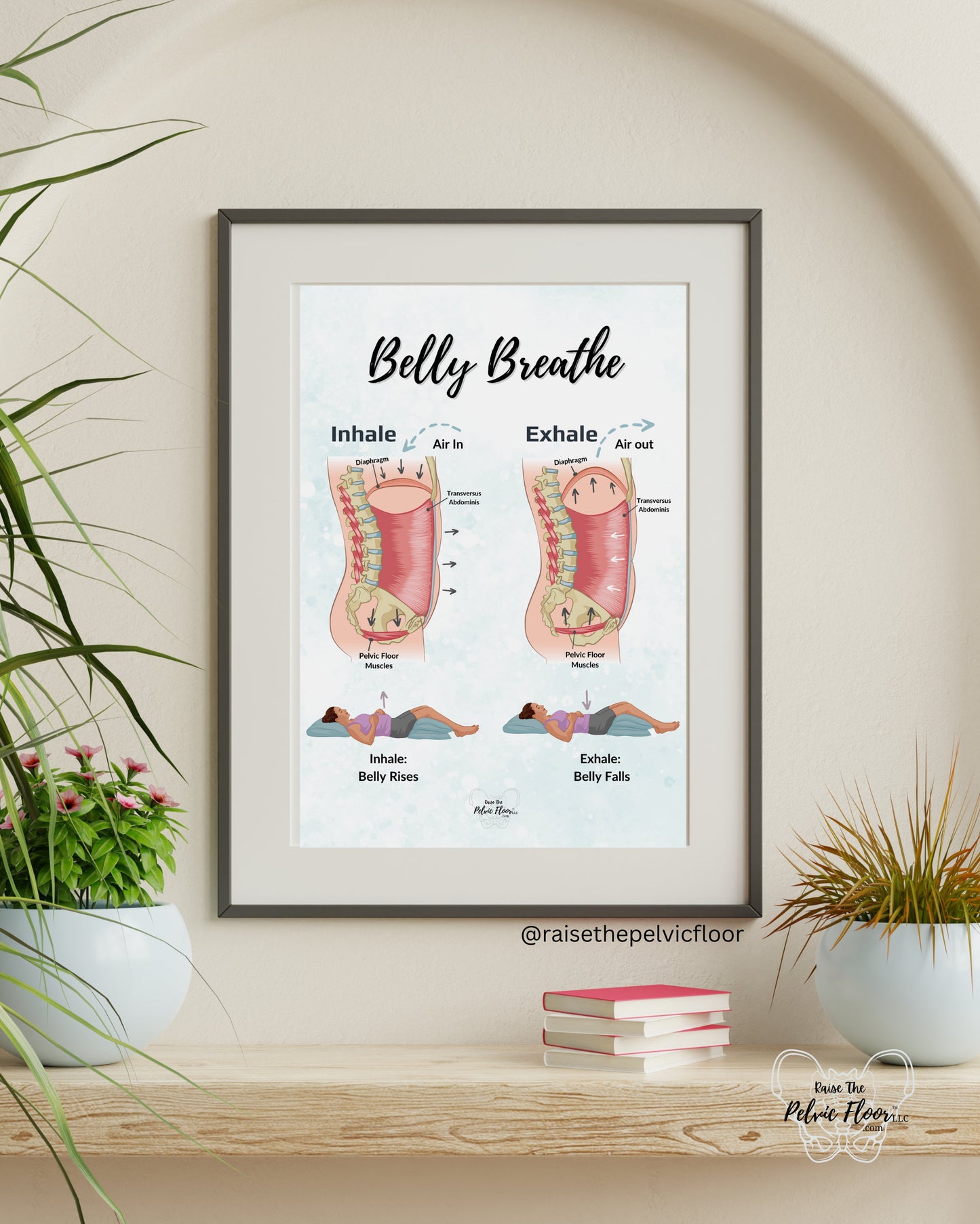 Belly Breathe Pathophysiology Inhale Exhale Education Poster | Pelvic Floor, Diaphragm, Breath, Belly Rise, Relax, Yoga, Meditation