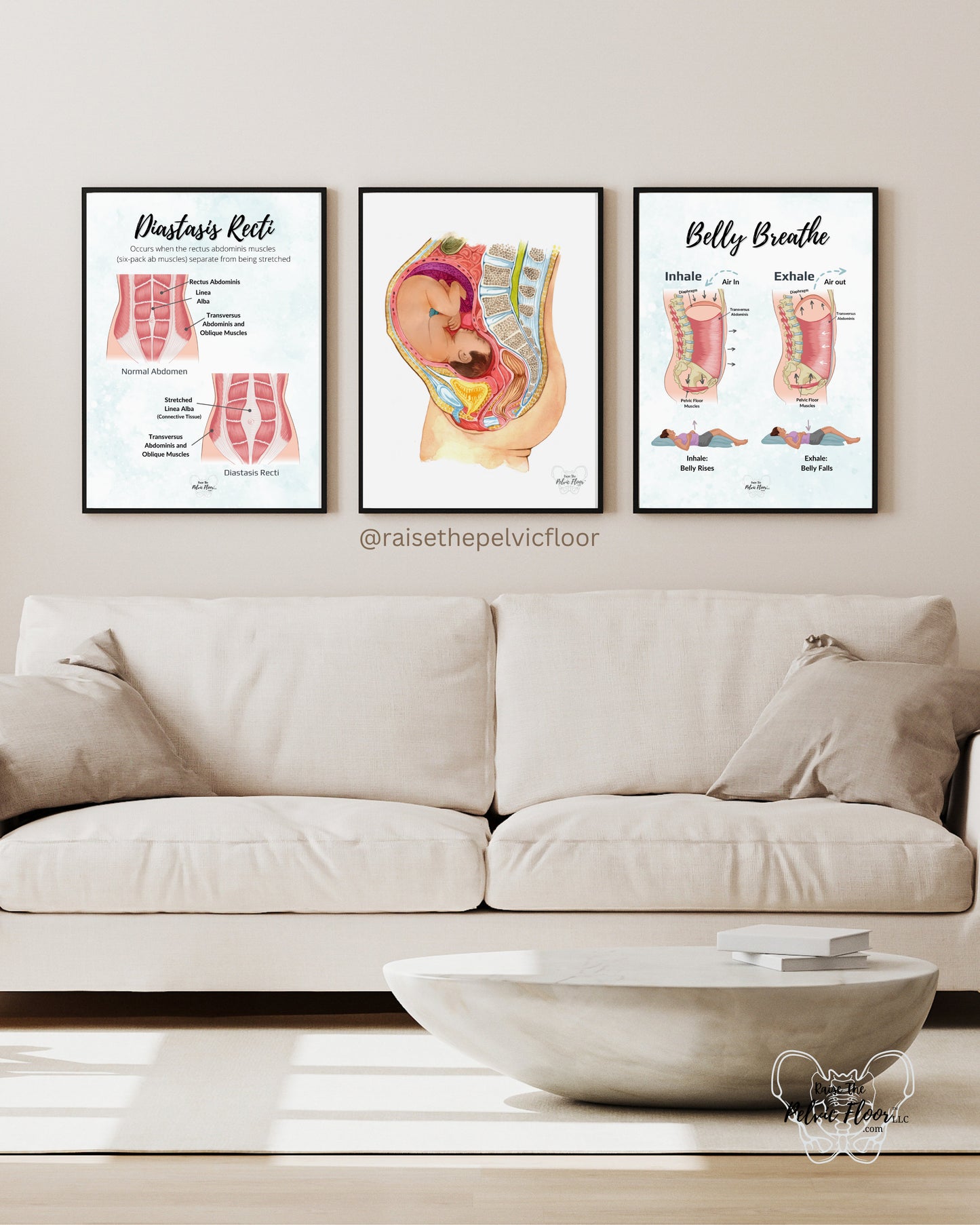 Belly Breathe Pathophysiology Inhale Exhale Education Poster | Pelvic Floor, Diaphragm, Breath, Belly Rise, Relax, Yoga, Meditation