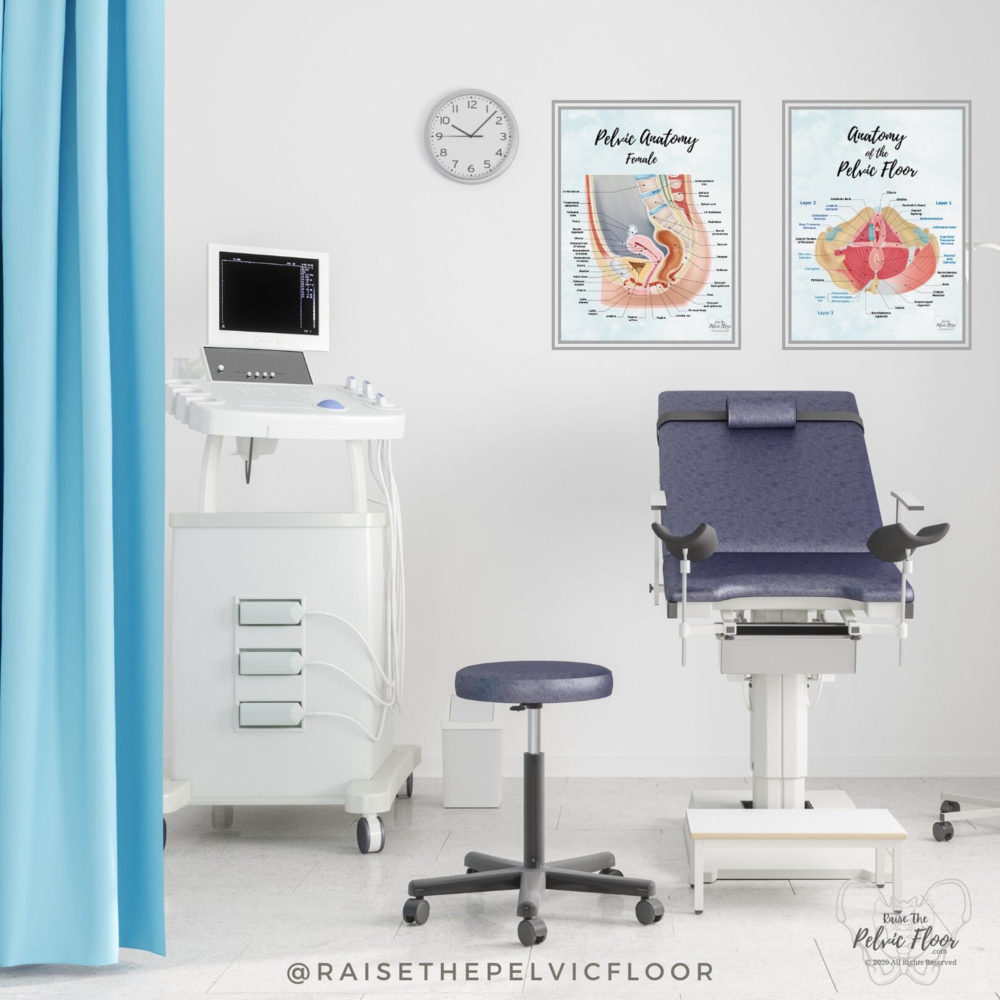 Set of 2- Pelvic Floor Muscle Anatomy and Side View of Pelvic Organs Educational Medical Art Poster | Bladder, Vagina, Kegel, Levator Ani