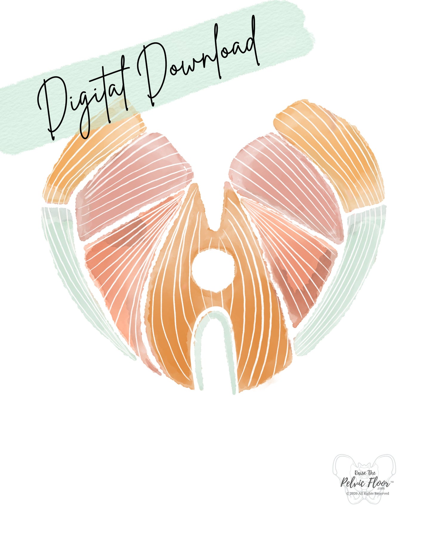 Pelvic Floor Art Abstract Watercolor DIGITAL DOWNLOAD* | Kegel Muscle Heart Shape Decor for Pelvic Health Practice