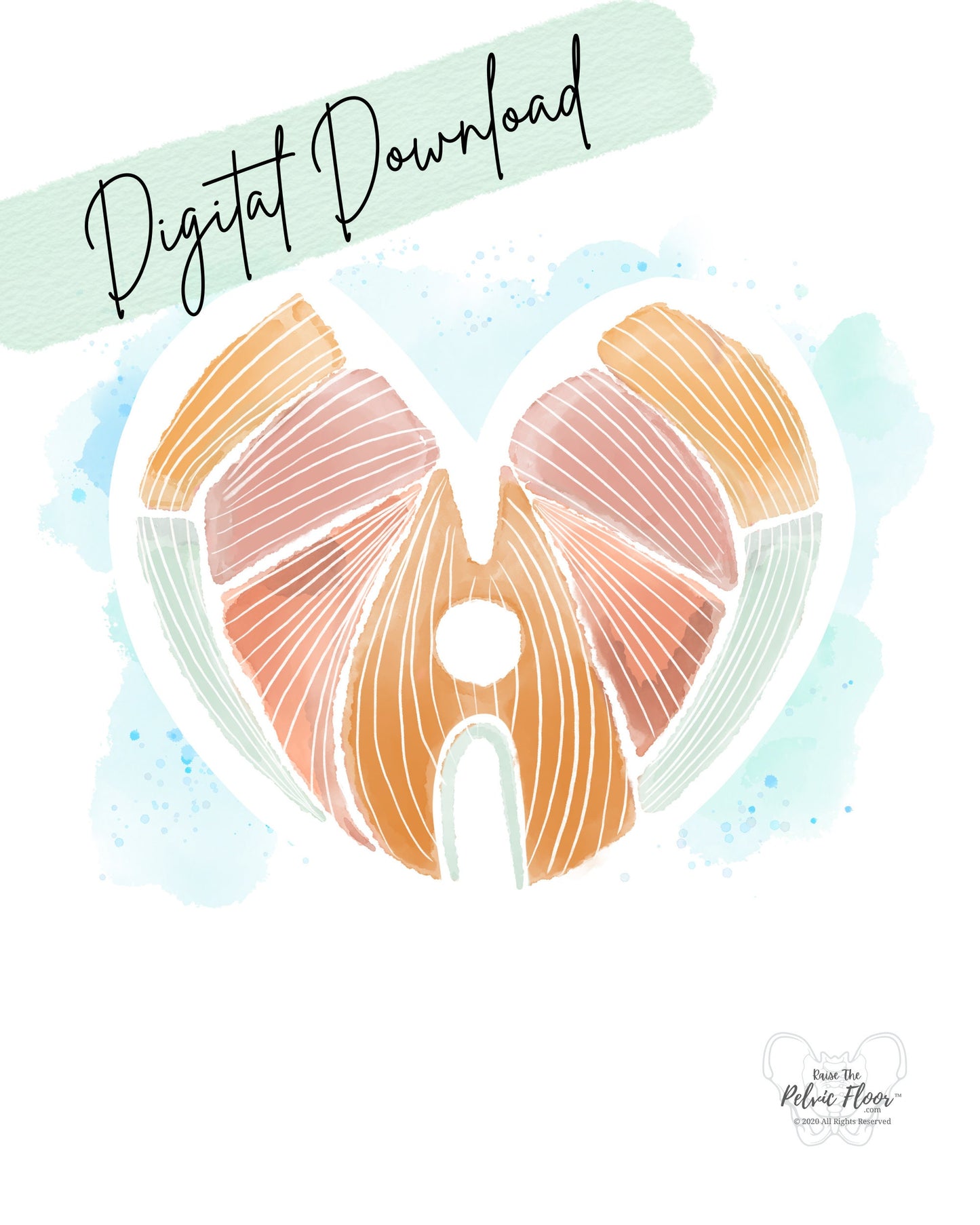 Pelvic Floor Art Abstract Watercolor DIGITAL DOWNLOAD* | Kegel Muscle Heart Shape Decor for Pelvic Health Practice