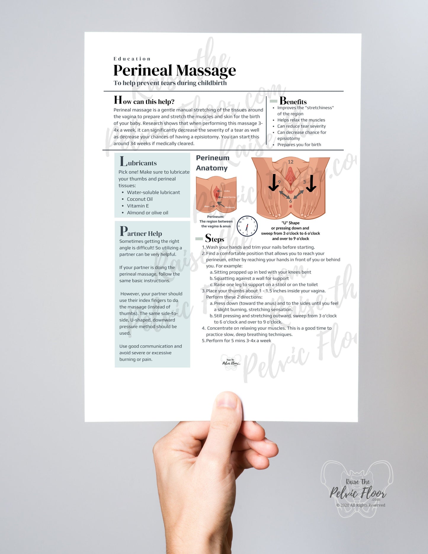 Digital Download* Perineal Massage Instruction Handout Flyer- Pregnancy Labor Prep| Pelvic Floor PT, Midwife, RN, OBGYN| Skin Muscle Stretch