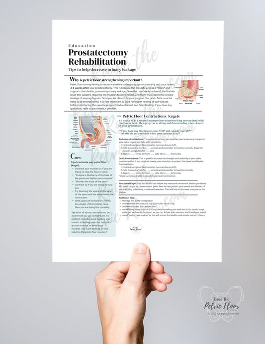 Prostatectomy Rehabilitation *Digital Download* Patient Education Handout- Pelvic Health, Prostate, Prostatectomy, Penis, Urine Leakage