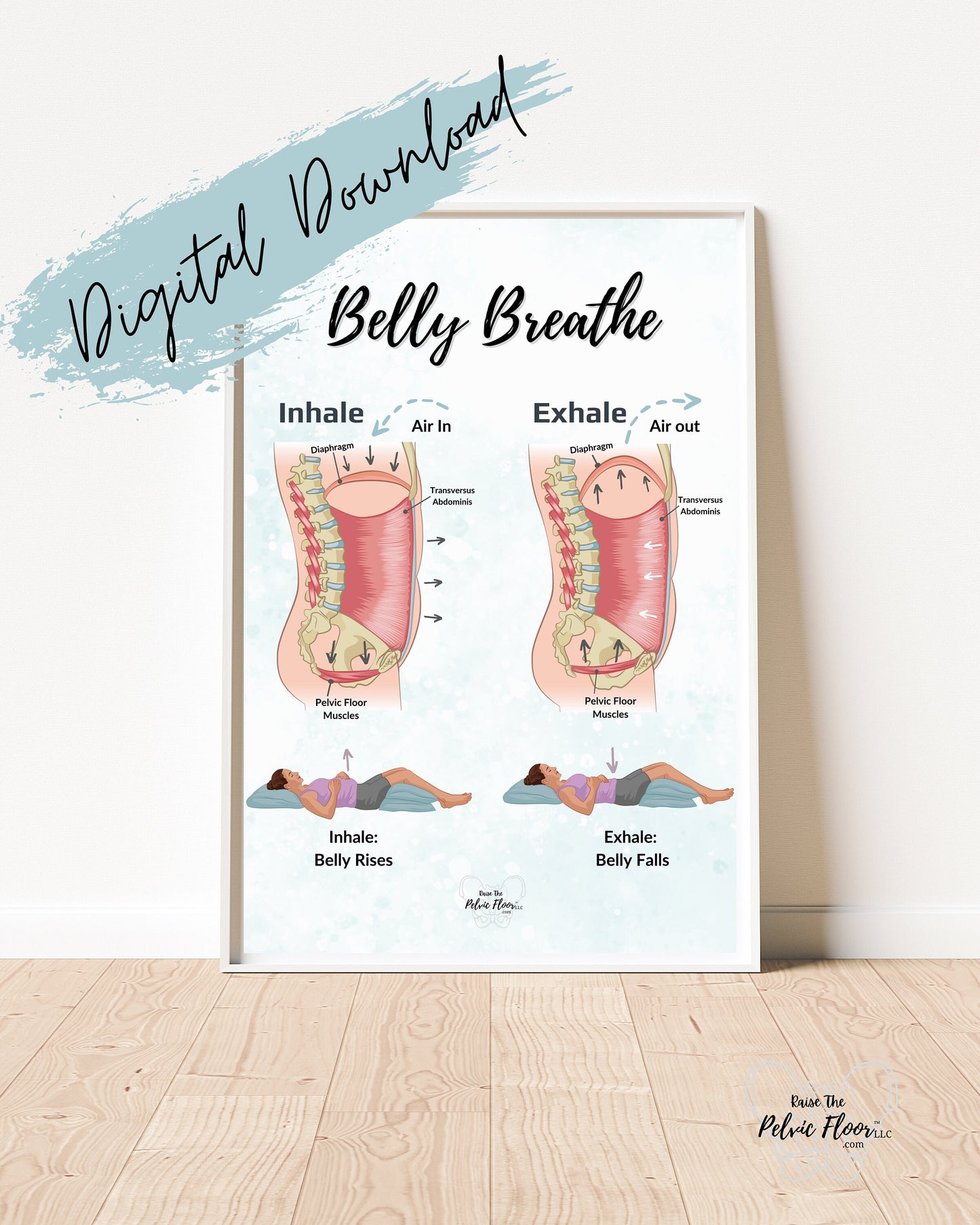 Belly Breathe Pelvic Floor *Digital Download* | Pelvic health artwork of the breath and core for pelvic therapy, meditation, yoga, pilates