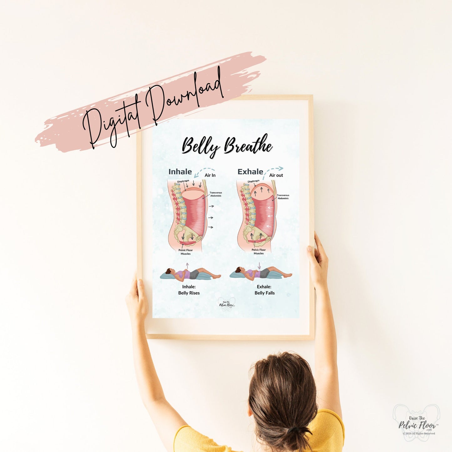 Belly Breathe Pelvic Floor *Digital Download* | Pelvic health artwork of the breath and core for pelvic therapy, meditation, yoga, pilates