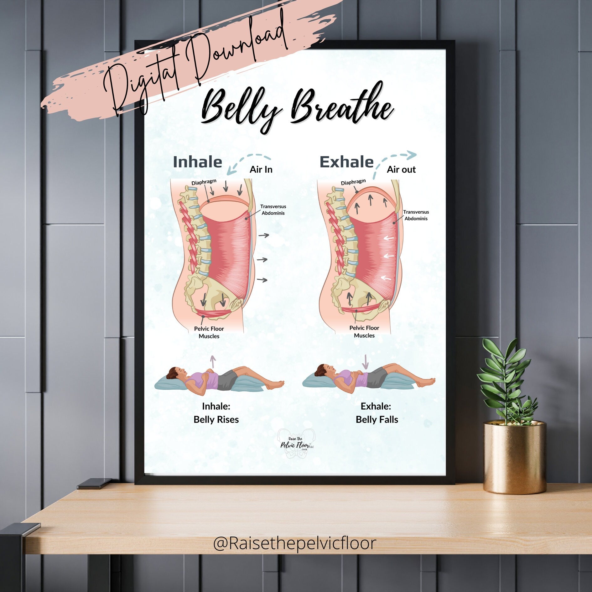 Belly Breathe Pelvic Floor *Digital Download* | Pelvic health artwork of the breath and core for pelvic therapy, meditation, yoga, pilates