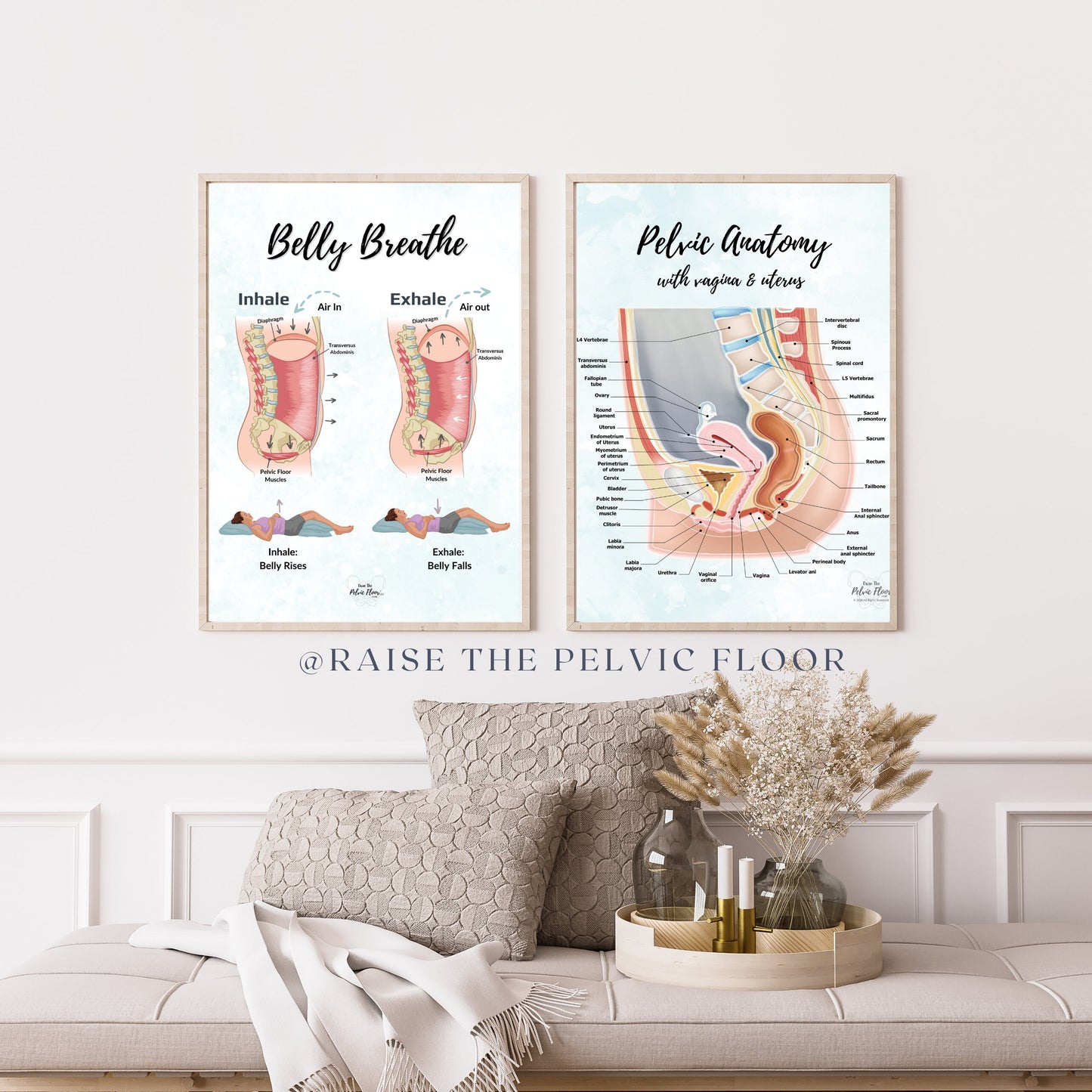 Belly Breathe Pelvic Floor *Digital Download* | Pelvic health artwork of the breath and core for pelvic therapy, meditation, yoga, pilates