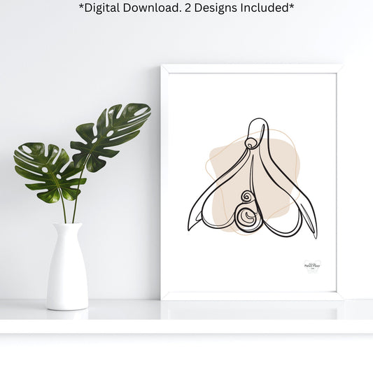 Clitoris Line Art Digital Download* | Pelvic Health Art for Physical Therapy, Sex Therapist, OBGYN, Occupational Therapist