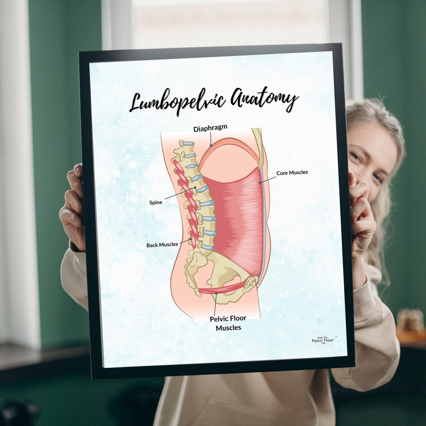 Anatomy of the spine and pelvic floor- Lumbopelvic Anatomy Poster Art Print | Pelvic floor, Core, abdominal wall, and diaphragm belly breath