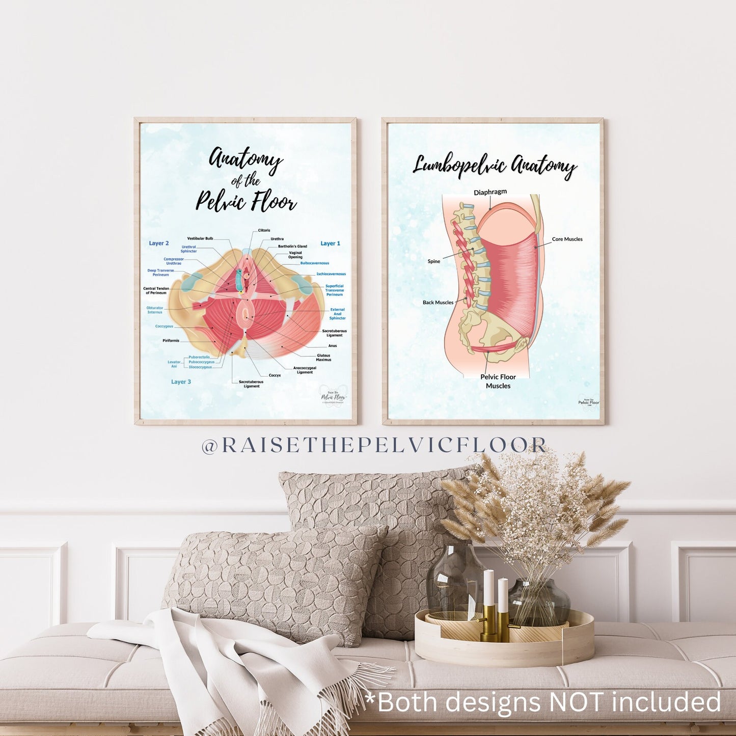 Anatomy of the spine and pelvic floor- Lumbopelvic Anatomy Poster Art Print | Pelvic floor, Core, abdominal wall, and diaphragm belly breath
