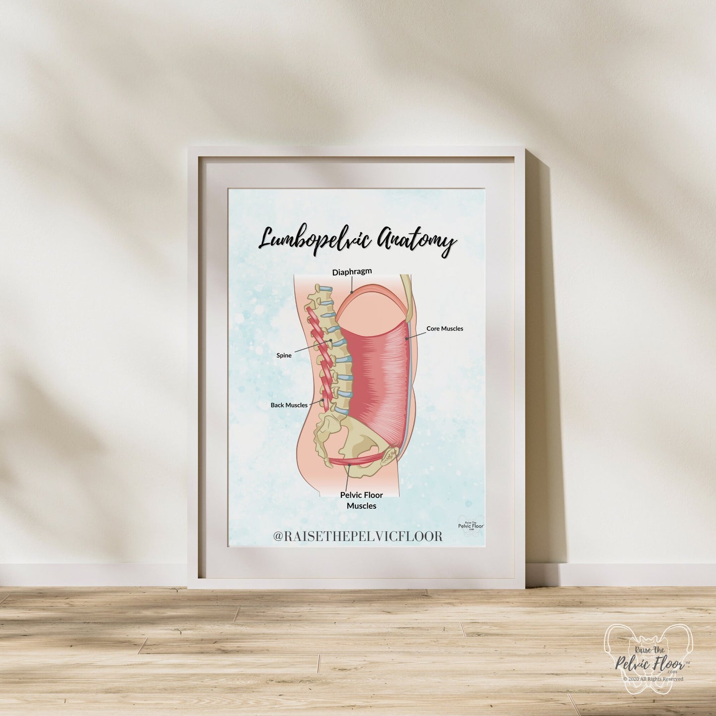 Anatomy of the spine and pelvic floor- Lumbopelvic Anatomy Poster Art Print | Pelvic floor, Core, abdominal wall, and diaphragm belly breath