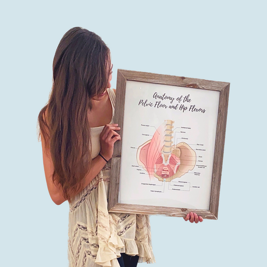 The Benefits of Calm Pelvic Health Posters in Medical and Wellness Facilities