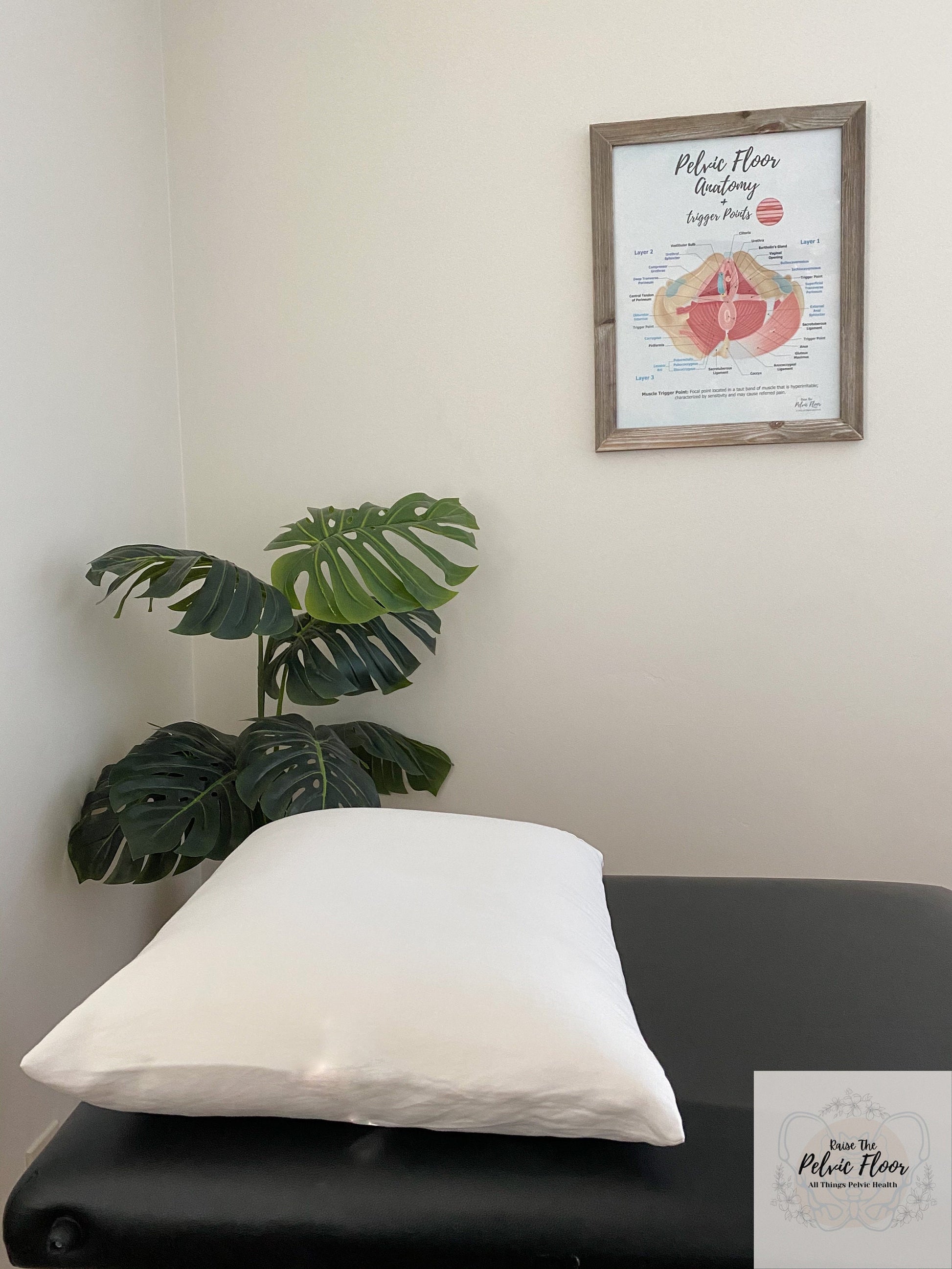 Trigger Points in Pelvic Floor | Anatomy Poster Art