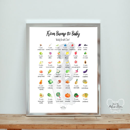 Bump to Baby- Pregnancy Art Weekly Fruit Growth Chart | Nursery Wall Poster Print