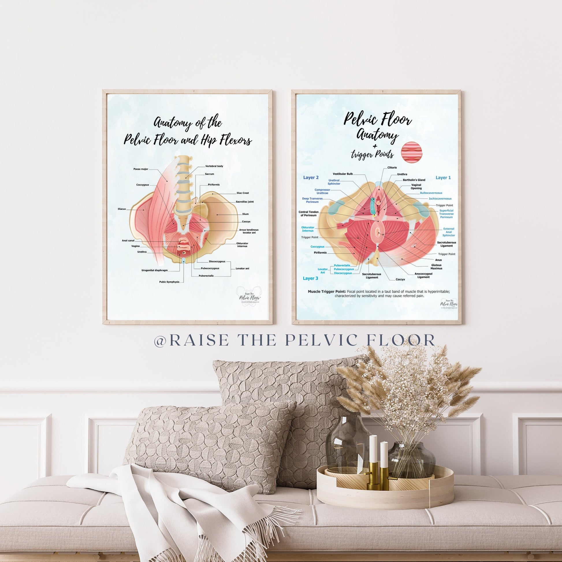 Trigger Points in Pelvic Floor | Anatomy Poster Art